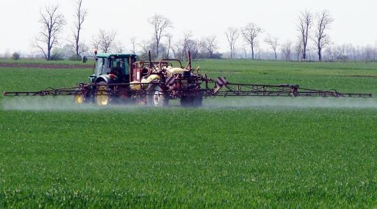 A biofungicideké a jövő?