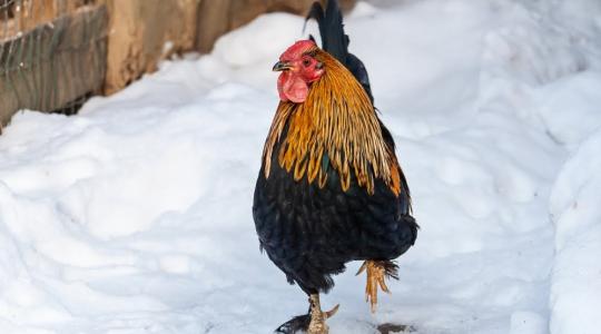 Bárhol előfordulhat csapadék szombaton