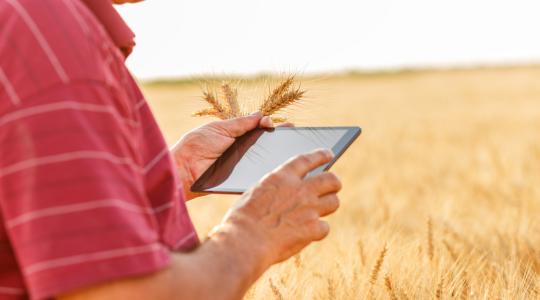 Digitális szolgáltatást indít a Monsanto 