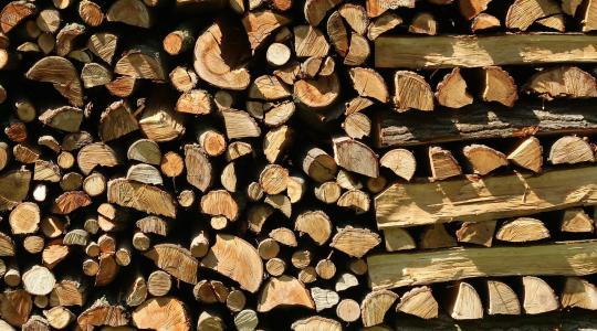 Fontos változások a faanyag-kereskedelmi lánc működésével kapcsolatos előírásokban