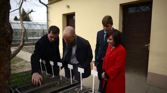 Amikor a diák vezető cégtől kapja meg a gyakorlati tudást