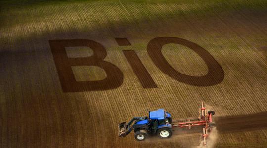 Ausztriában a legnagyobb a biotermesztés aránya az EU-ban, de Magyarország is szépen jön fel