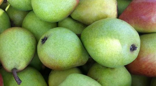 Ukrajna gyümölcsöt is exportálna Kínába