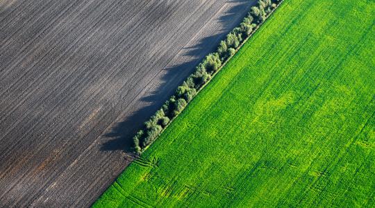 Már 400 000 hektáron segítettek növelni a termést és csökkenteni a műtrágya-költséget