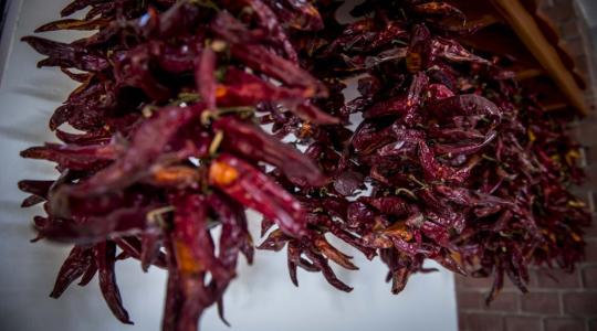 Több mint 500 milliós támogatást kap a fűszerpaprika ágazat