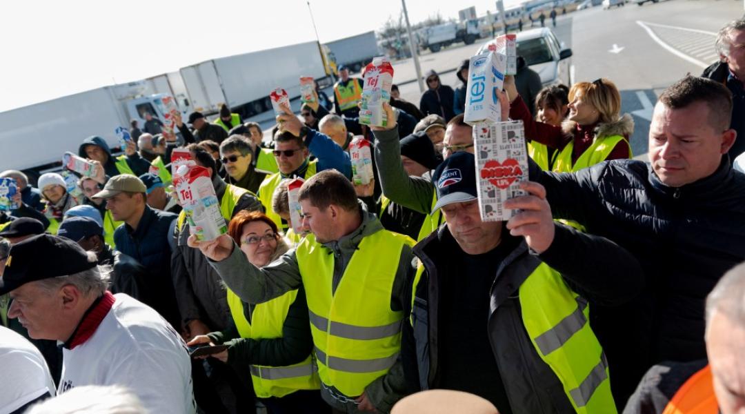 Tejtermelők tüntettek az olcsó import tej miatt a Penny Market központjánál