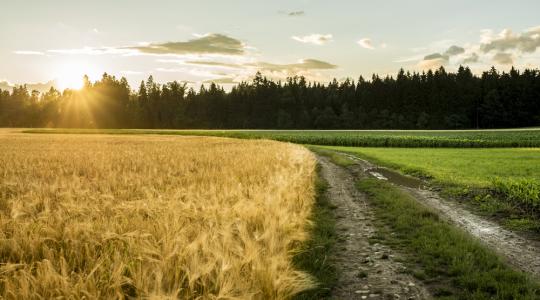 Újabb átalakítások – Nemzeti Földügyi Központot hoz létre a kormány 