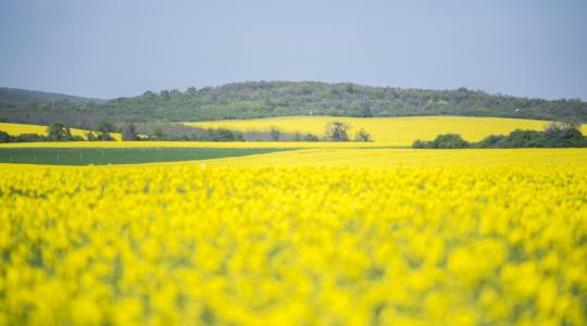 Ennyit kaptunk az esőből, jön a melegedés és a szárazság 