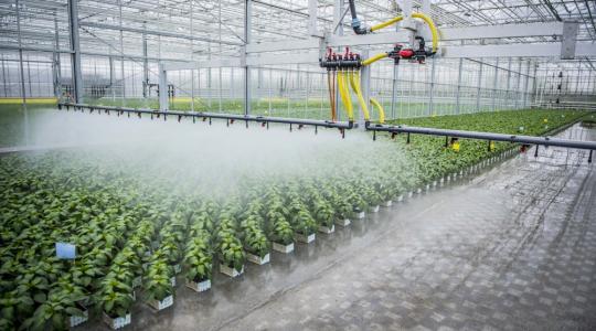 Több, mint egymilliárd forintért épült palántanevelő üvegház Szegváron