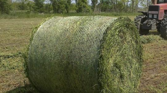 Ötszáz nagyméretű körbála ég Sárszentmihályon