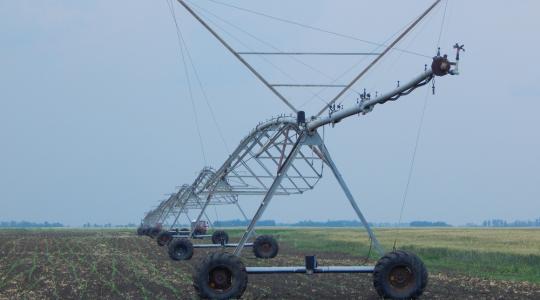 Ezért nem öntöznek a magyar gazdák