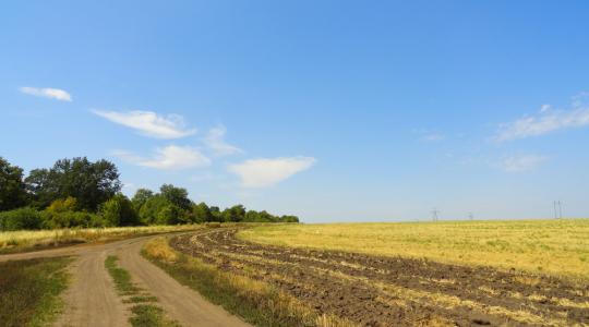 Oroszország egymillió hektár földet külföldieknek ad bérbe