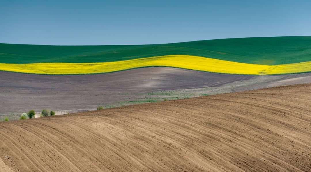 Az időjárás, a brexit és a klímaváltozás hatásai az agrárgazdaságra