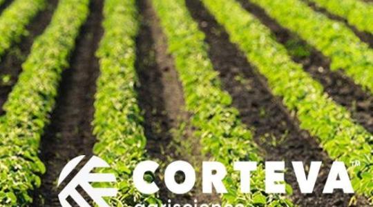 Átalakult struktúrában működik együtt a magyar termelőkkel a Corteva Agriscience