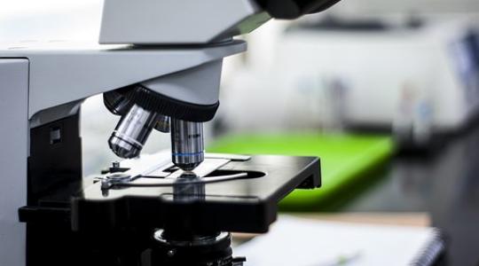 Nem jó hír: a baktériumok antibiotikum rezisztenciája antibiotikumok nélkül is kialakulhat