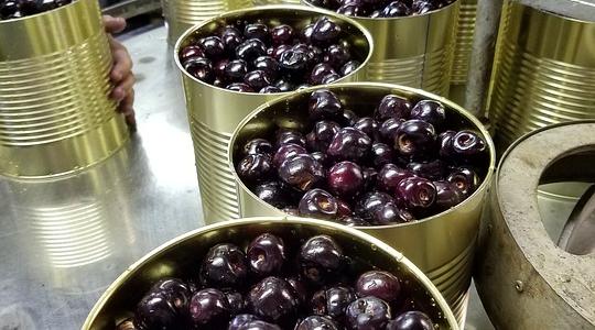 Megállapodást kötött a Takarék Csoport és az AVHGA