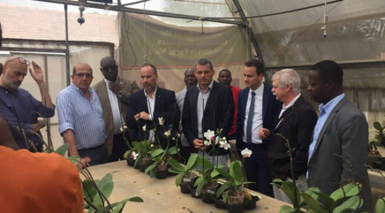 Egyre keresettebb exportcikkek a magyar agrárinnovációs eredmények