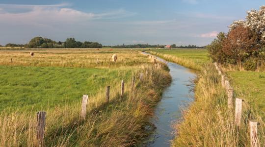 Minden a Natura gyepterületekről – közérthetően!