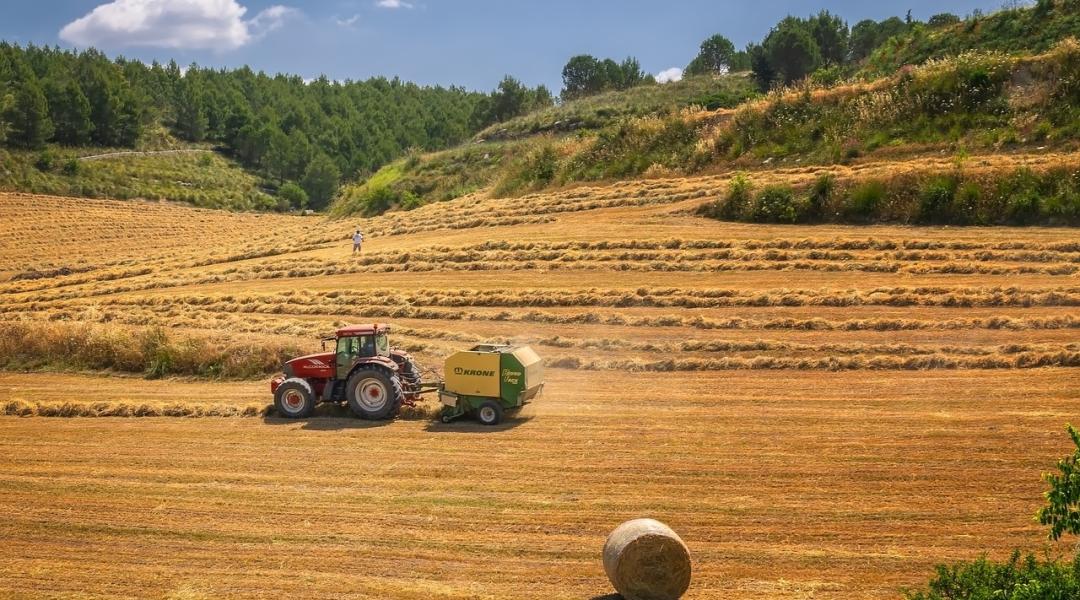 2019 legjobb mezőgazdasági szakcikkei!