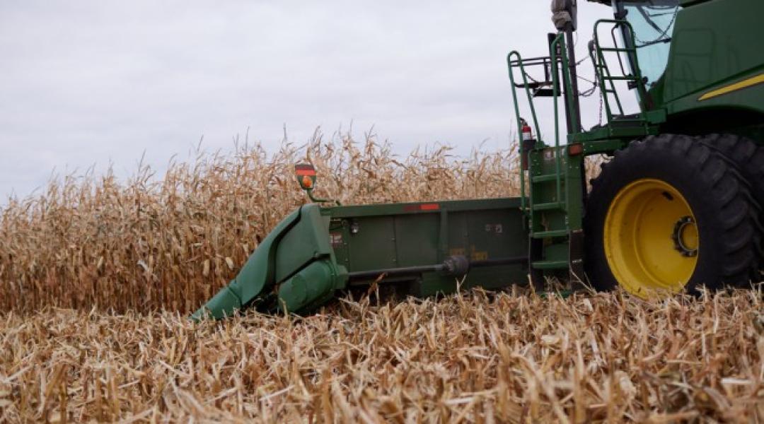 41,44 t/ha – Hatalmas rekord született az amerikai kukoricatermesztők versenyén!