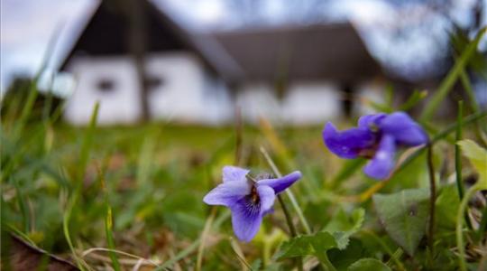 Közelítünk a decemberi időjáráshoz – éjszaka akár fagyhat is!