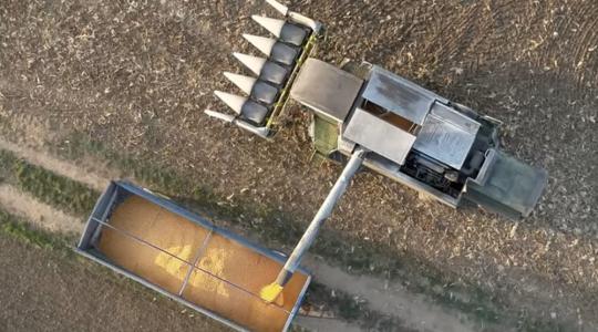 20 éves terv a szabad vetőmagválasztásért! – VIDEÓ!