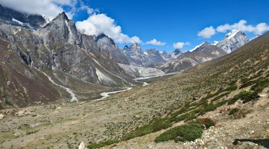 Egyre több növény él a Mount Everest térségében
