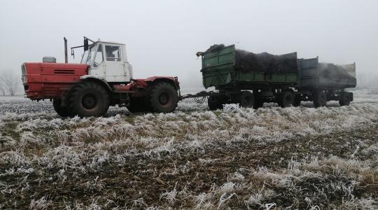 Hótakaró továbbra sem fogja védeni a növényeket