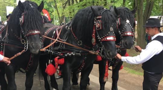 Megnyílt a XXVI. Alföldi Állattenyésztési és Mezőgazda Napok 