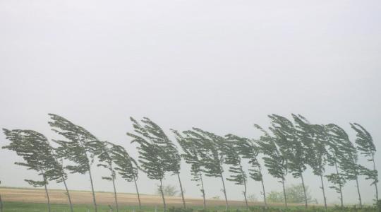 Viharos szél! Akár 90 km/h-t meghaladó széllökésekre is lehet számítani