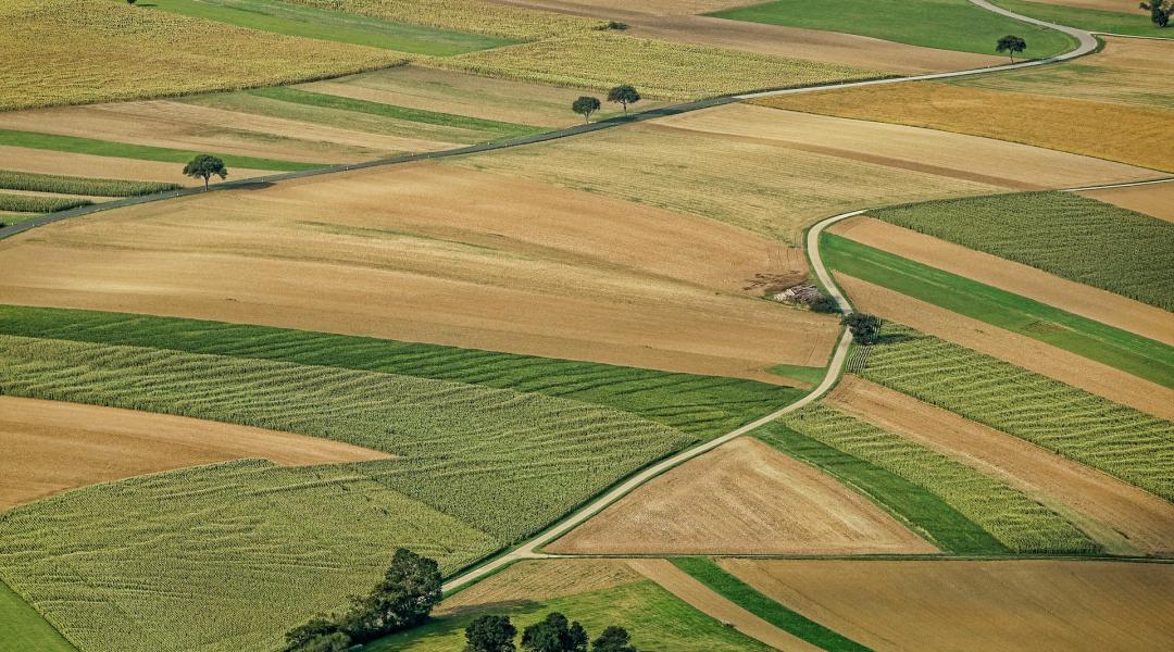 Elszabadultak az árak: 1,6 millió forint 1 hektár termőföld