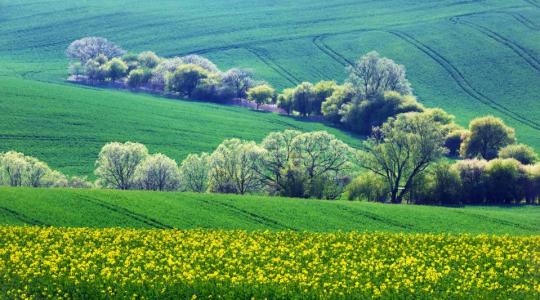 A legfontosabb mezőgazdasági cégek most hallgatnak Önre