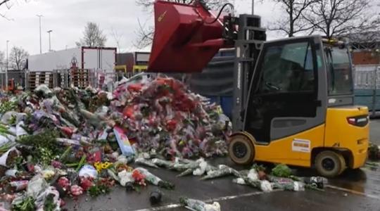 A holland kertészek a csőd szélén – VIDEÓ ERŐS IDEGZETŰEKNEK!