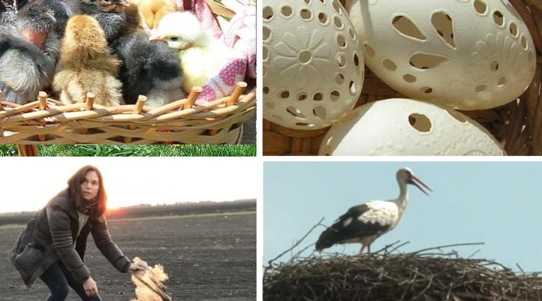 10+1 dolog, amit most végre megcsinálhatsz, ha vidéken élsz! – KÉPEK, VIDEÓK!