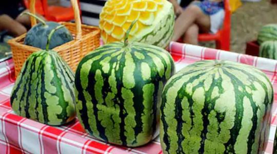A japán szögletes dinnye története 