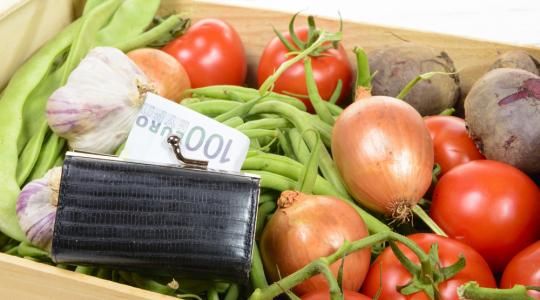 Mi lesz az  iskolagyümölcs-és iskolatej program szereplőivel?