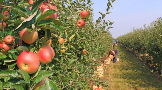 Tudnivalók az agrár-környezetgazdálkodási kifizetéshez