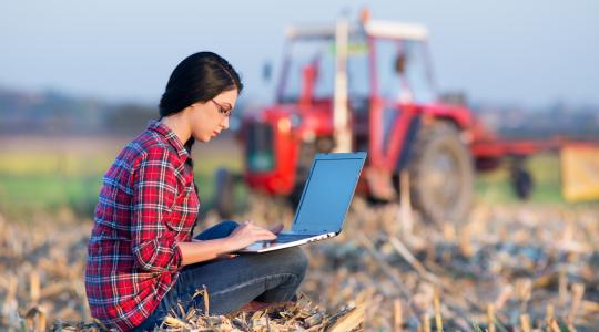 Négy agrárszakképző iskolában nem gazdálkodtak felelősen a közpénzekkel