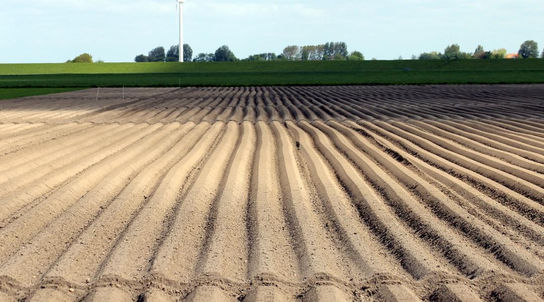 Újabb rendkívüli, agráriumot támogató intézkedéseket vezetne be az EU