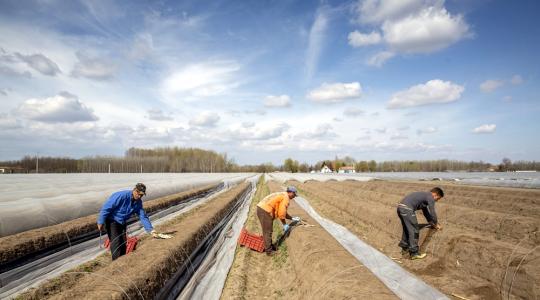 Akkora a baj, hogy az illegális bevándorlókat is munkába állítja Spanyolország