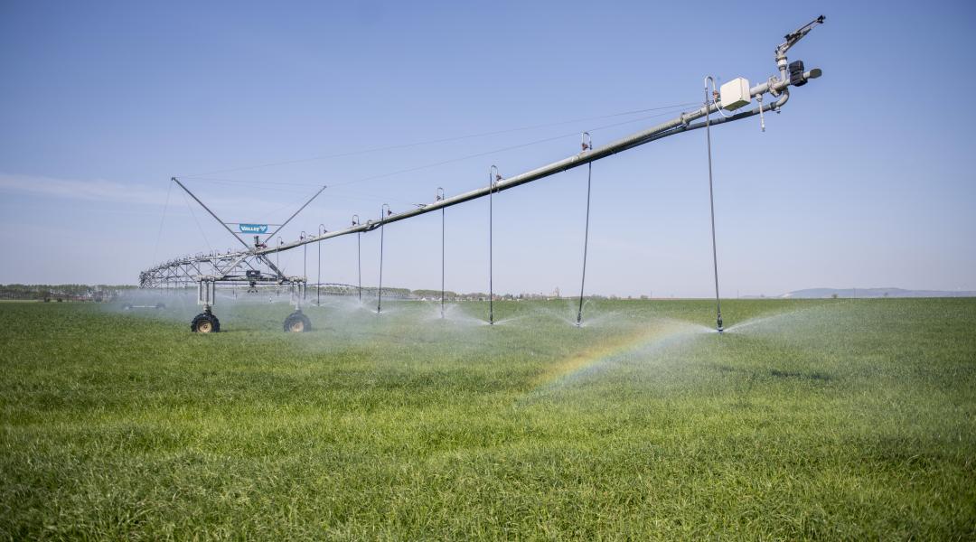Aszály, munkaerőhiány és növénybetegségek is sújtják az agráriumot