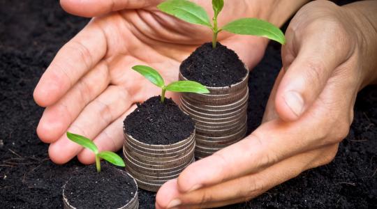 15,7 milliárd forint agrárbiztosítási díjat fizettek be a gazdálkodók