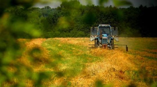 Újabb hőséghullám mellé a szél szárító hatására is számíthatunk