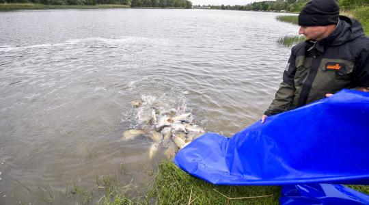 Kicsúszhat a lábuk alól a talaj: nehéz helyzetben a haltermelők