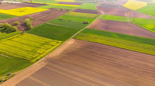 Magyar ötletek, amik segíthetnek az agrárium égető problémáin