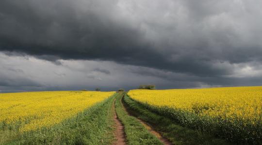 Felhők vonulnak át felettünk – érkezik-e belőlük eső?