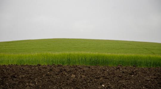 Záporok, zivatarok viharos széllökésekkel