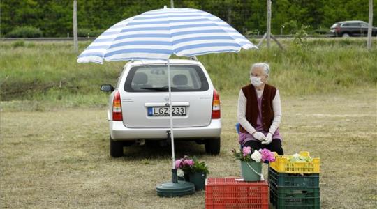Megnyílt az autós termelői piac 
