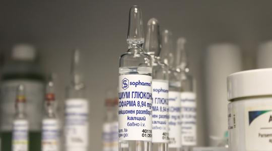 Új antibiotikum forrás rejtőzik a szibériai medve szájában