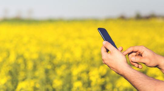Ezek a magyar agrár startupok nem aprózzák el: a cél egyenesen az amerikai piac